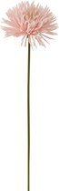 J-Line bloem Chrysant - kunststof - wit/lichtroze - 12 stuks