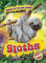 Animals of the Rain Forest - Sloths