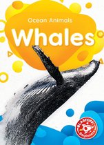 Ocean Animals - Whales