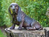 Basset