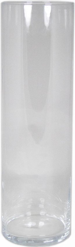1x Transparante glazen cilinder bloemen vaas/vazen 50 cm hoog - Hoge ronde  vaas voor... | bol.com