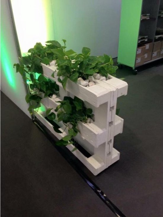 15x Witte Europallet Bol