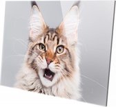 Kat | 150 x 100 CM | Wanddecoratie | Dieren op plexiglas | Schilderij | Plexiglas | Schilderij op plexiglas
