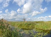 Fotobehang Molens Kinderdijk 450 x 260 cm - € 295,--