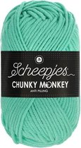 Scheepjes Chunky Monkey 100g - 1422 Aqua - Blauw