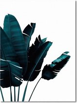 Canvas Experts doek met Zwart witte Palmbomen leuk om te combineren! maat  100x70CM *ALLEEN DOEK MET WITTE RANDEN* Wanddecoratie | Poster | Wall art | canvas doek |