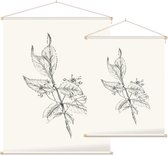 Kardinaalsmuts zwart-wit Schets (Spindle Tree) - Foto op Textielposter - 60 x 80 cm