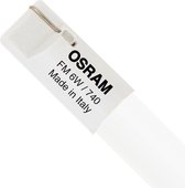 Osram T2 FM 6W 740 Fluorescent Miniature W4.3 | 22cm - Koel Wit