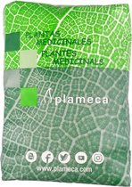 Malva Real Flor Import. Entera 1 Kg