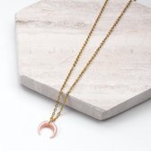 Stainless Steel Ketting Met Hoorn Hanger Pink (45 cm) Goud (1 stuks)