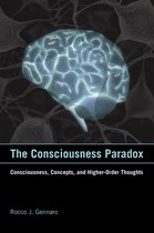 Representation and Mind series - The Consciousness Paradox