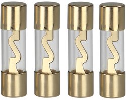 AGU glaszekering 60 Ampere- 5 stuks in blister