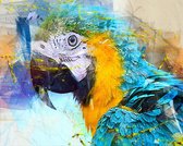 Dielay - Diamond Painting Pakket - Papegaai - 50x40 cm - Complete Set - Volledige Bedekking - Ronde Steentjes