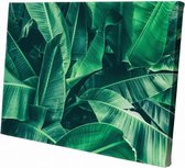 Bananenbladeren groen | 150 x 100 CM | Natuur | Schilderij | Canvasdoek | Schilderij op canvas