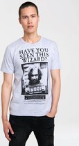 Harry Potter - Have You Seen This Wizard - Easyfit - grey melange - Original licensed product