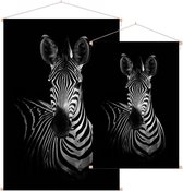 Zebra op zwarte achtergrond - Foto op Textielposter - 120 x 180 cm