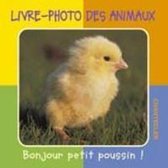 Livre-photo des animaux (1-3 a.) bonjour petit poussin !