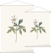 Anemoo (Anemone) - Foto op Textielposter - 120 x 180 cm
