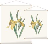 Gele Iris (Yellow Iris) - Foto op Textielposter - 45 x 60 cm