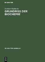 de Gruyter Lehrbuch- Grundriss der Biochemie