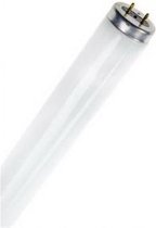 TL-buis 30W G13 26x895mm Blacklight