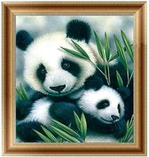 Panda's - Diamond Painting 30x30 cm inclusief premium tools