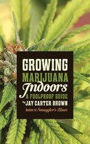 Growing Marijuana Indoors