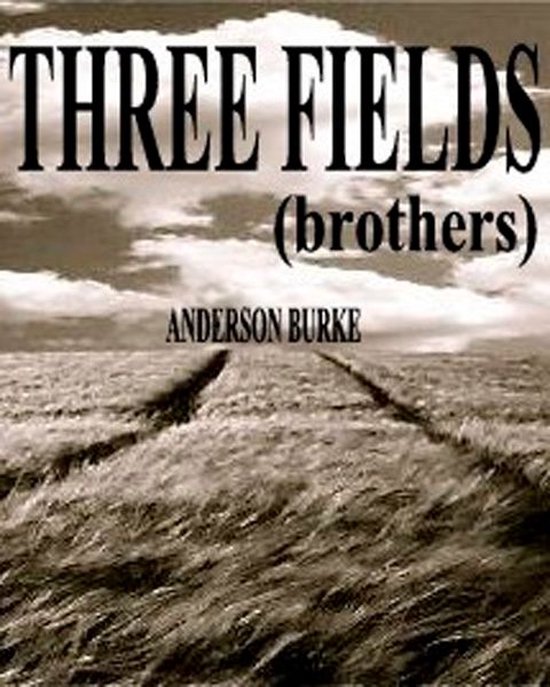 THREE FIELDS (brothers) - cover