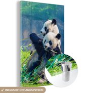 MuchoWow - Glasschilderij - Acrylglas - Panda - Bamboe - Natuur - Muurdecoratie - Schilderij glas - 60x90 cm - Wanddecoratie - Foto op glas