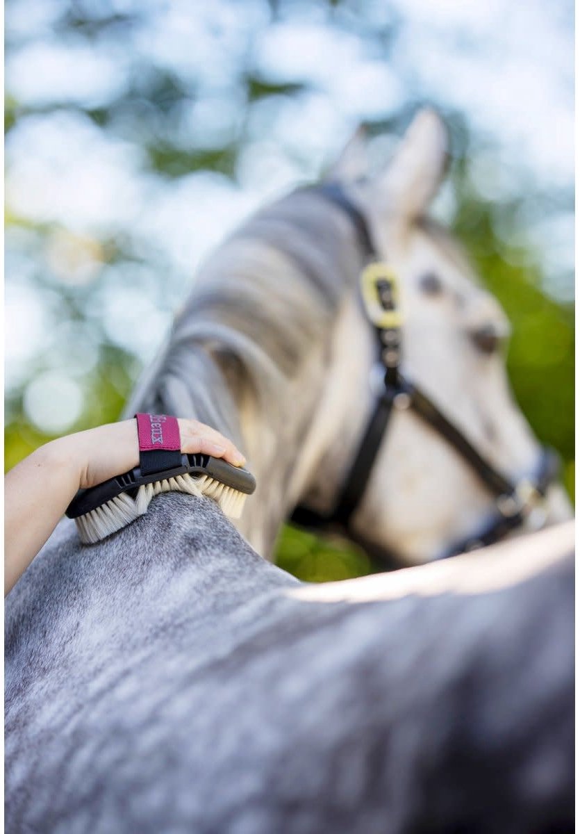 Brosse douce crin de cheval Flexi LeMieux