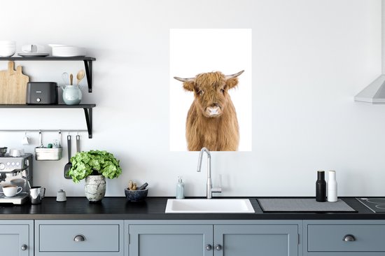 Highlander écossais - Animaux - Marron - Nature