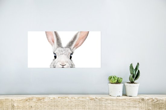 Poster Lapin - Animaux - Nature - Wit - 40x20 cm