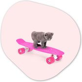 Organische Wanddecoratie - Kunststof Muurdecoratie- Organisch Schilderij - Poes - Kitten - Dieren - Skateboard - Roze- 40x40 cm - Asymmetrische spiegel vorm op kunststof