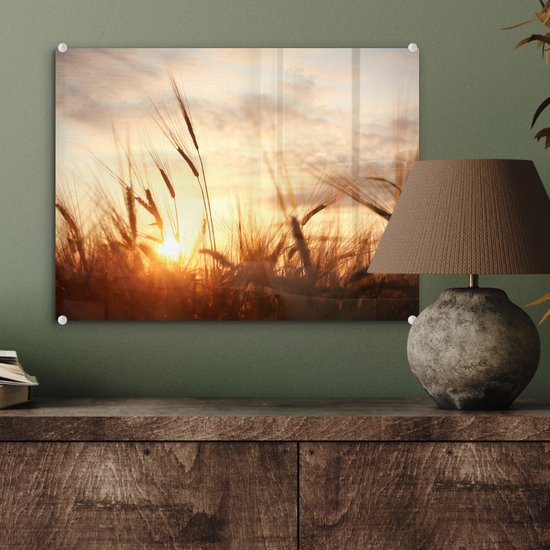 MuchoWow - Peinture sur verre - Photo sur verre - Roseau - Herbe - Soleil - Nature - 40x30 cm - Image sur verre - Décoration murale - Peinture nature - Verre acrylique