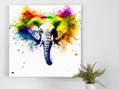 Colorful Elephant Explosion kunst - 80x80 centimeter op Canvas | Foto op Canvas - wanddecoratie