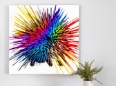 Rainbow Splatter Echidna kunst - 30x30 centimeter op Canvas | Foto op Canvas - wanddecoratie