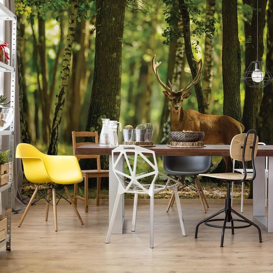 Papier peint photo Cerf Arbres Forêt Nature | XL - 208 cm x 146 cm | Polaire 130g / m2
