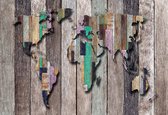 Fotobehang World Map Wood Planks | XXL - 312cm x 219cm | 130g/m2 Vlies