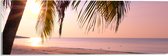 Acrylglas - Zonsopgang achter Palmboom op het Strand - 60x20 cm Foto op Acrylglas (Wanddecoratie op Acrylaat)