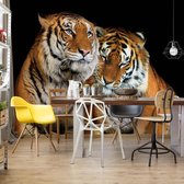 Fotobehang Loving Tigers | VEA - 206cm x 275cm | 130gr/m2 Vlies