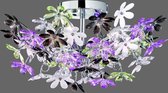 REALITY FLOWER - Plafondlamp - Chroom - excl. 4x E14 4W - Diameter 560 mm - Chroom - Multi kleurige en heldere blaadjes