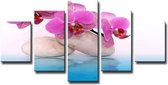 Schilderij - Orchidee en Zen, Blauw/Roze, 160X80cm, 5luik