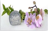 Schilderij Orchidee Dream, 4 maten, multi-gekleurd, Premium print