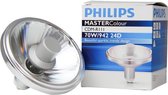Philips MASTERColour GX8.5 CDM-R111 Elite 70W 24D - 942 Koel Wit | Beste Kleurweergave