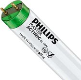 Philips MASTER TL - D Actinic BL 18W - Ultraviolet | 60cm