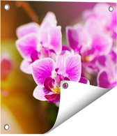 Gards Tuinposter Paarse Orchidee Bloemen - 40x40 cm - Tuindoek - Tuindecoratie - Wanddecoratie buiten - Tuinschilderij