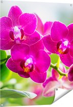 Gards Tuinposter Roze Orchidee Bloemen - 80x100 cm - Tuindoek - Tuindecoratie - Wanddecoratie buiten - Tuinschilderij