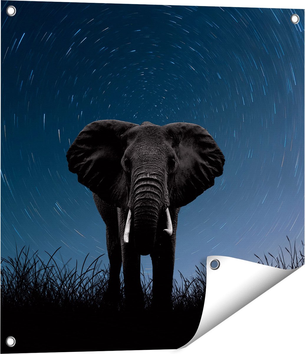 Gards Tuinposter Olifant Omringd met Sterren - 60x60 cm - Tuindoek - Tuindecoratie - Wanddecoratie buiten - Tuinschilderij Multikleur