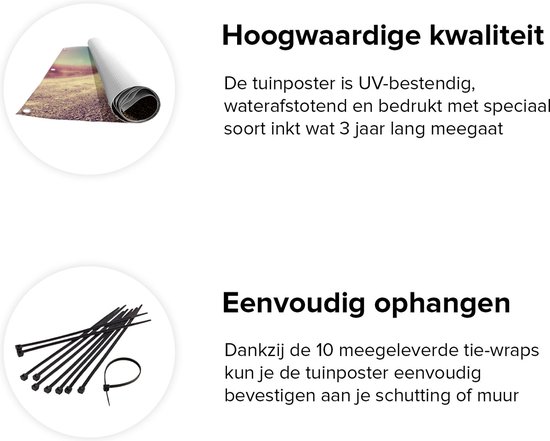 Gards Tuinposter Pad in het Woestijn Landschap met de Zon - 120x80 cm - Tuindoek - Tuindecoratie - Wanddecoratie buiten - Tuinschilderij