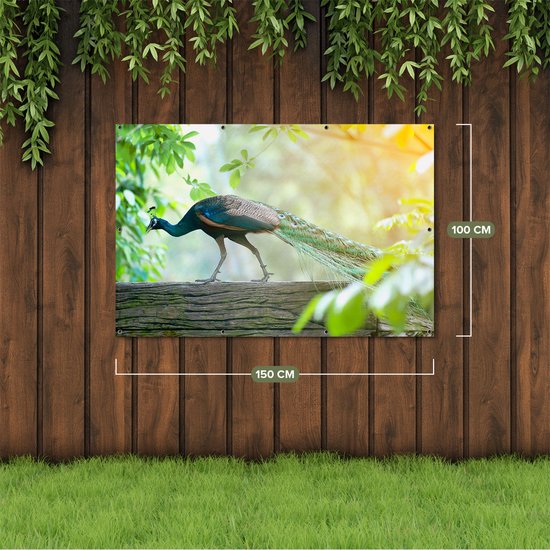 Affiche de jardin du Gards Paon marchant sur une branche dans la nature - 150x100 cm - Toile de jardin - Décoration de jardin - Décoration murale extérieur - Tableau de jardin